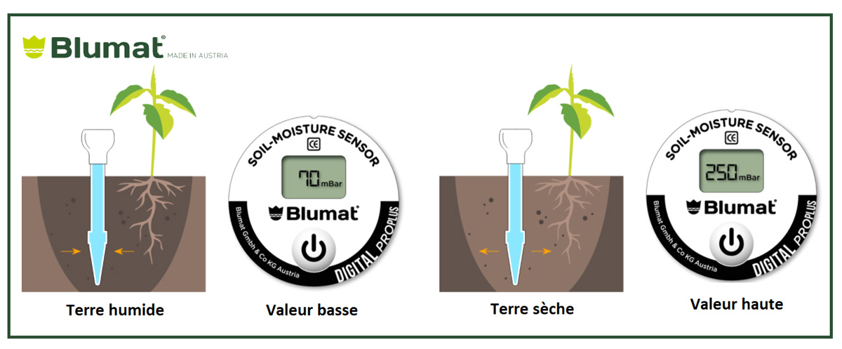 Sonde d'humidité digitale Blumat