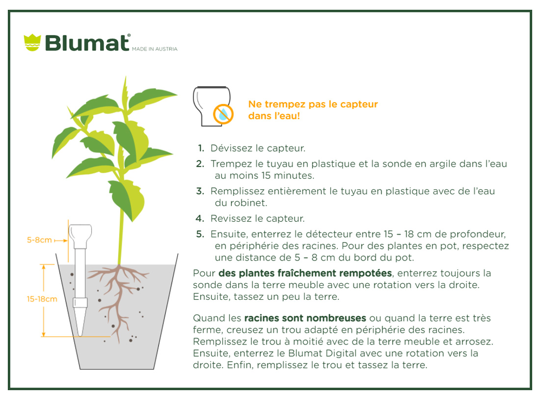 Sonde d'arrosage autonome Blumat pour 1 plante