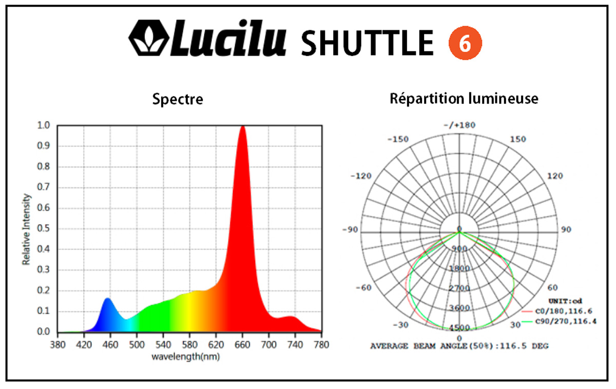 PAR Lucilu Shuttle 6