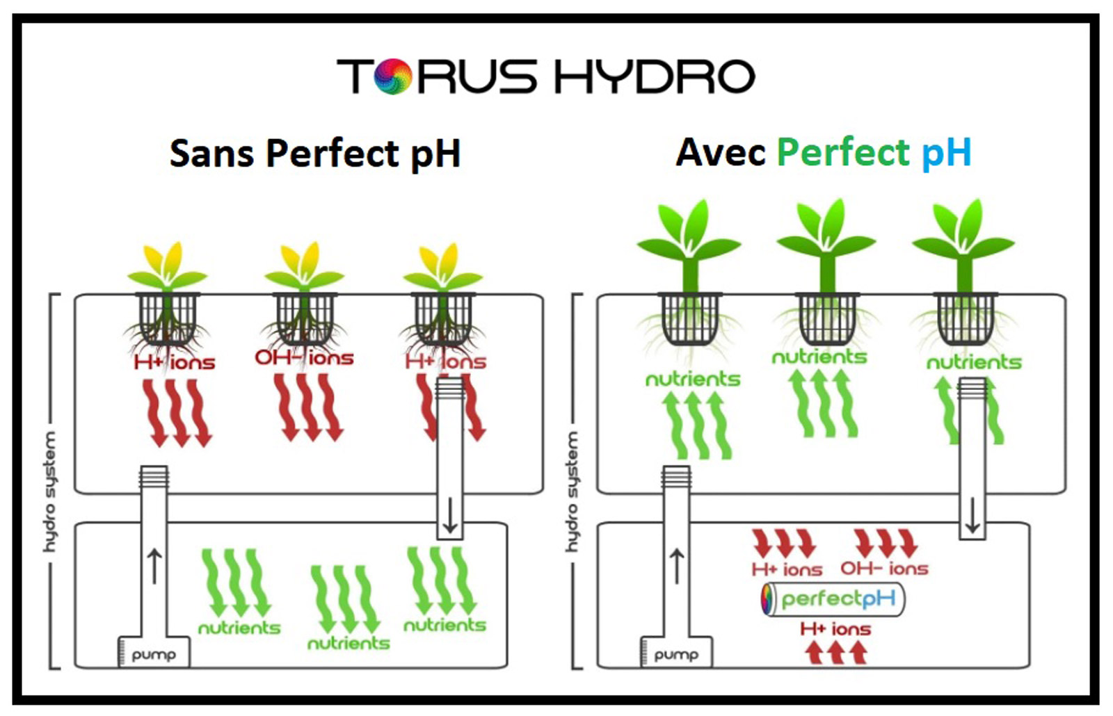 Comment marche PerfectpH 260