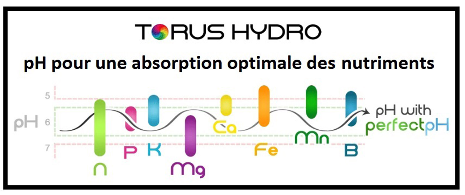 Stabilisateur de pH Torus Hydro Inline Edition 130 litres