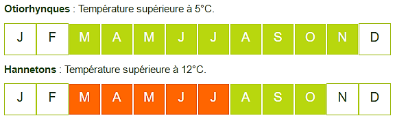 période propice aux traitement des vers blancs