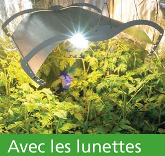 lunette anti UV et infrarouge