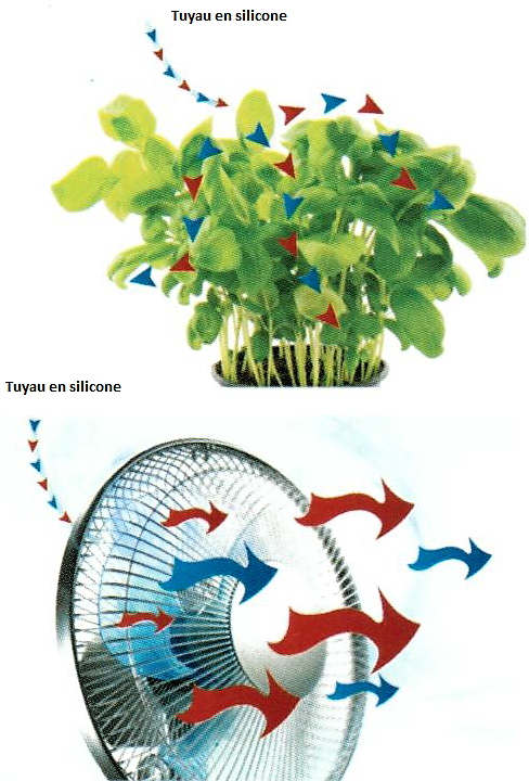 Diffusion du CO2 dans la zone de culture indoor