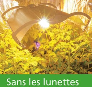 éclairage HPS sans lunette de protection