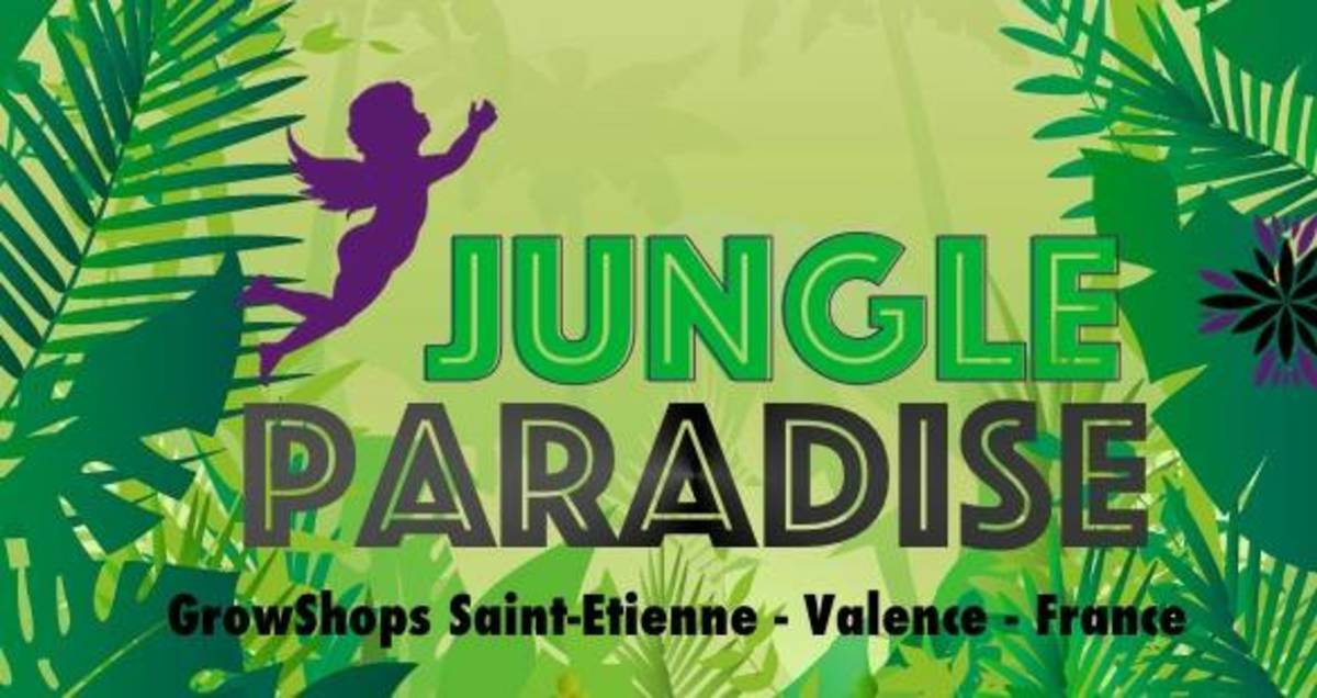 Photo Jungle Paradise Revendeur Hydrozone